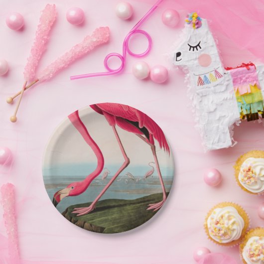 Amerikaanse Flamingo Birds of America Audubon Prin Papieren Bordje (Feest)