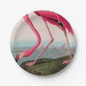 Amerikaanse Flamingo Birds of America Audubon Prin Papieren Bordje (Voorkant)