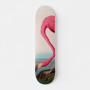 Amerikaanse Flamingo Birds of America Audubon Prin Persoonlijk Skateboard