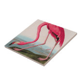 Amerikaanse Flamingo Birds of America Audubon Prin Tegeltje (Zijkant)