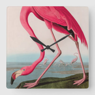 Amerikaanse Flamingo Birds of America Audubon Prin Vierkante Klok