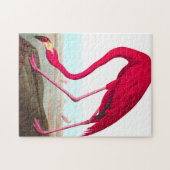 Amerikaanse Flamingo door John James Audubon Legpuzzel (Horizontaal)