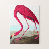 Amerikaanse Flamingo door John James Audubon Legpuzzel (Verticaal)