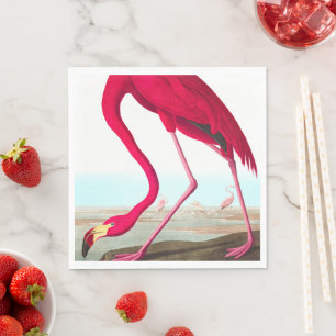 Amerikaanse Flamingo door John James Audubon Servet