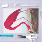 Amerikaanse Flamingo door John James Audubon Tissuepapier (Craft)