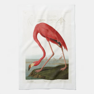 Amerikaanse Flamingo John Audubon Birds of America Theedoek