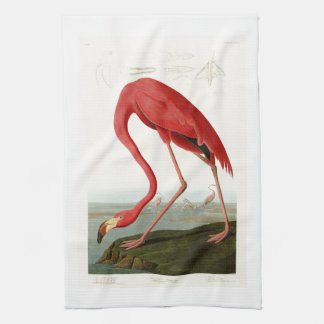 Amerikaanse Flamingo John Audubon Birds of America Theedoek