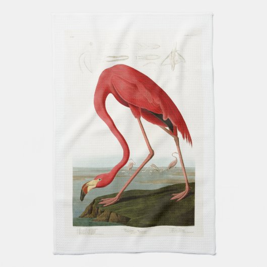 Amerikaanse Flamingo John Audubon Birds of America Theedoek (Verticaal)