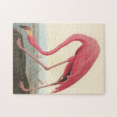 Amerikaanse Flamingo ~ John James Audubon 11 x 14 Legpuzzel (Horizontaal)