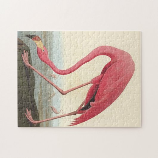 Amerikaanse Flamingo ~ John James Audubon 11 x 14 Legpuzzel (Horizontaal)
