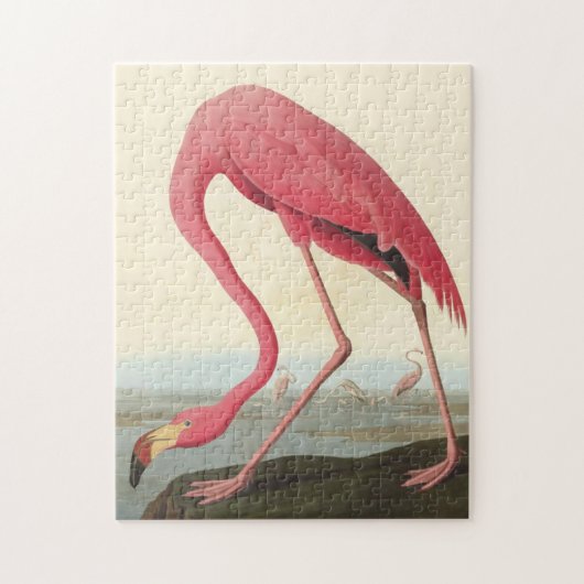 Amerikaanse Flamingo ~ John James Audubon 11 x 14 Legpuzzel (Verticaal)