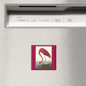 Amerikaanse Flamingo, John James Audubon Magneet (Insitu (Vaatwasser))