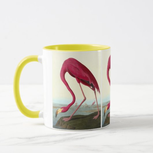 Amerikaanse Flamingo, John James Audubon Mok (Links)