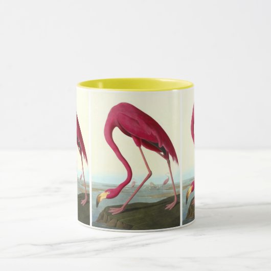 Amerikaanse Flamingo, John James Audubon Mok (Midden)