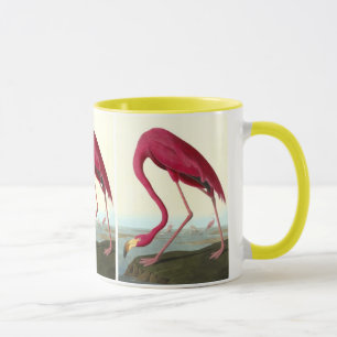 Amerikaanse Flamingo, John James Audubon Mok