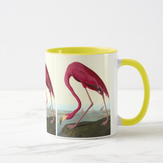 Amerikaanse Flamingo, John James Audubon Mok (Rechts)