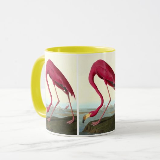 Amerikaanse Flamingo, John James Audubon Mok (Voorkant links)