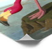 Amerikaanse Flamingo, John James Audubon Poster (Hoek)