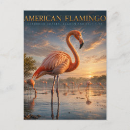 Amerikaanse Flamingo Kustlagune DIEREN Briefkaart