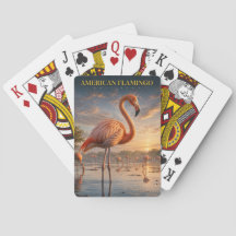 Amerikaanse Flamingo Kustlagune DIEREN Poker