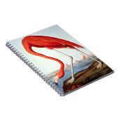 Amerikaanse Flamingo Notitieboek (Rechterzijde)