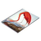 Amerikaanse Flamingo Notitieboek (Linkerzijde)