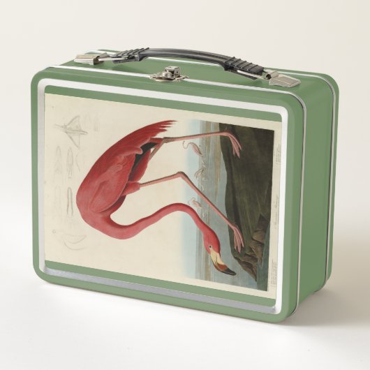 Amerikaanse Flamingo uit Audubon's Birds of Americ (Voorkant)