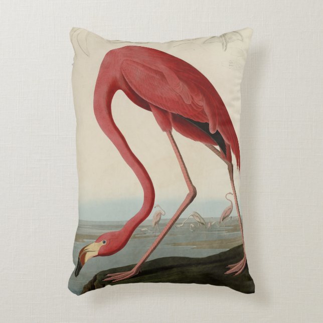 Amerikaanse Flamingo uit Audubon's Birds of Americ Accent Kussen (Voorkant(Verticaal))
