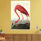Amerikaanse Flamingo uit Audubon's Birds of Americ Canvas Afdruk (Insitu (Woonkamer))