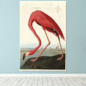Amerikaanse Flamingo uit Audubon's Birds of Americ Canvas Afdruk (Insitu (Houten vloer))