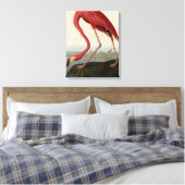 Amerikaanse Flamingo uit Audubon's Birds of Americ Canvas Afdruk (Insitu (Slaapkamer))