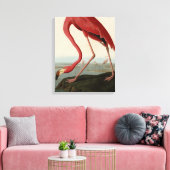 Amerikaanse Flamingo uit Audubon's Birds of Americ Canvas Afdruk (Insitu (Woonkamer))