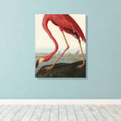 Amerikaanse Flamingo uit Audubon's Birds of Americ Canvas Afdruk (Insitu (Houten vloer))