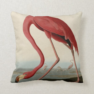 Amerikaanse Flamingo uit Audubon's Birds of Americ Kussen