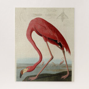Amerikaanse Flamingo uit Audubon's Birds of Americ Legpuzzel