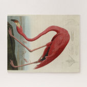 Amerikaanse Flamingo uit Audubon's Birds of Americ Legpuzzel (Horizontaal)
