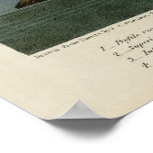 Amerikaanse Flamingo uit Audubon's Birds of Americ Poster (Hoek)