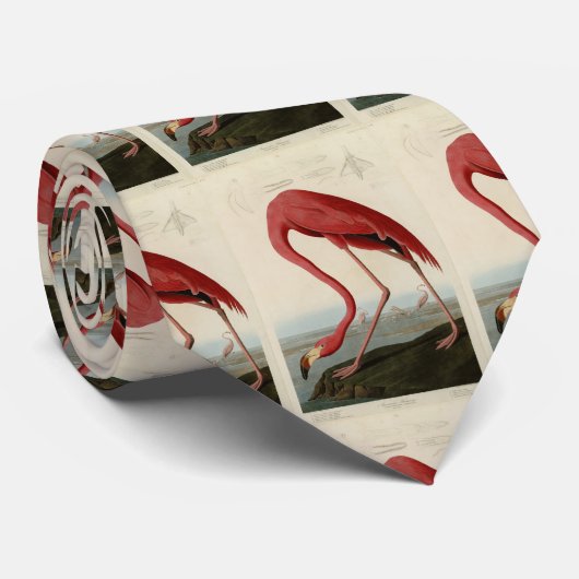 Amerikaanse Flamingo uit Audubon's Birds of Americ Stropdas (Opgerold)