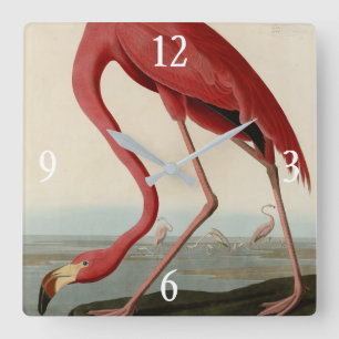 Amerikaanse Flamingo uit Audubon's Birds of Americ Vierkante Klok