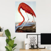 Amerikaanse Flamingo - Wildlife van John Audubon Poster (Thuiskantoor)