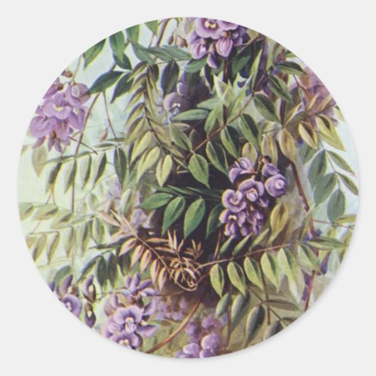 -Amerikaanse flora met paarse bloemen Ronde Sticker (Voorkant)