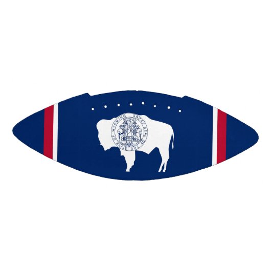 Amerikaanse football Wyoming vlag (Paneel)
