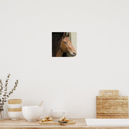Amerikaanse foto's met kwart paard poster (Keuken)