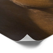 Amerikaanse foto's met kwart paard poster (Hoek)