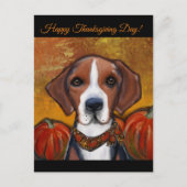 Amerikaanse Foxhound  Briefkaart (Voorkant)