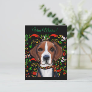 Amerikaanse Foxhound  Briefkaart