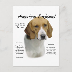 Amerikaanse foxhound geschiedenis, alles over foxh briefkaart