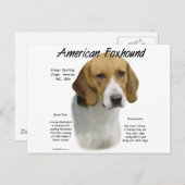 Amerikaanse foxhound geschiedenis, alles over foxh briefkaart (Voorkant / Achterkant)