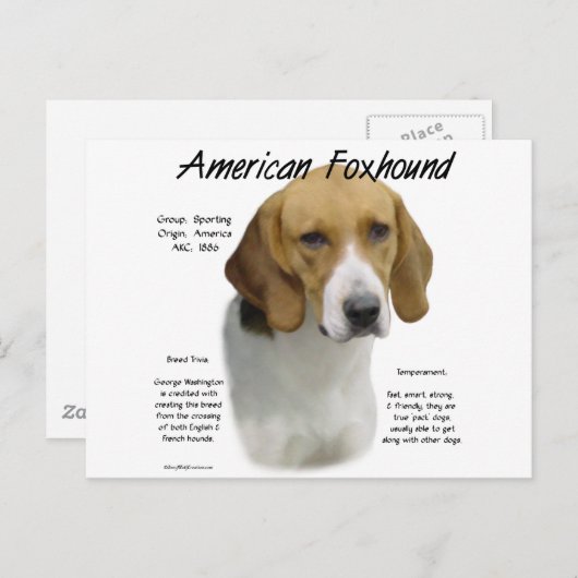 Amerikaanse foxhound geschiedenis, alles over foxh briefkaart (Voorkant / Achterkant)