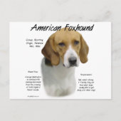 Amerikaanse foxhound geschiedenis, alles over foxh briefkaart (Voorkant)